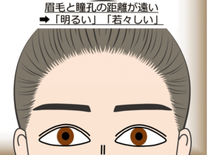 眉毛と瞳孔が遠いと「明るい」「若々しい」といった印象を与える