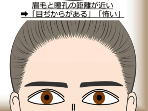 眉毛と瞳孔の距離が近いと「目ぢからがある」「怖い」といった印象を与える