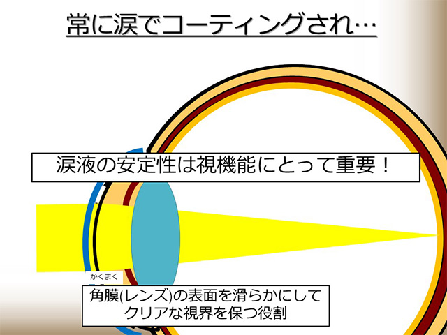 涙液の安定性は視機能にとって重要！