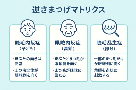 逆さまつ毛マトリクス